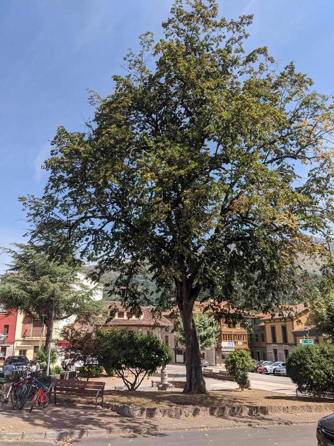 פרואזה Hotel La Plaza מראה חיצוני תמונה